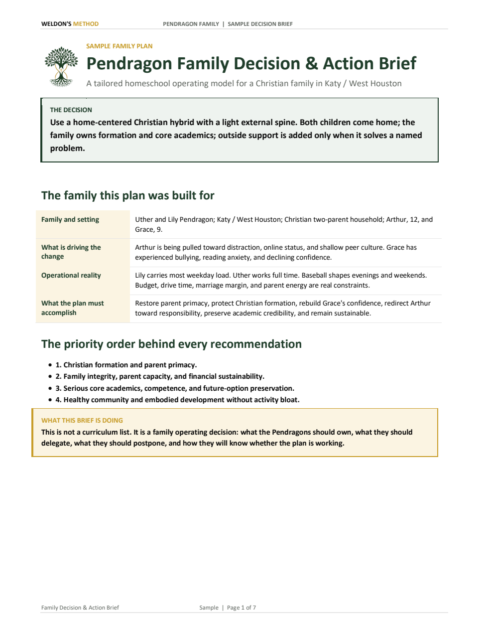 First page of a sample Family Decision and Action Brief